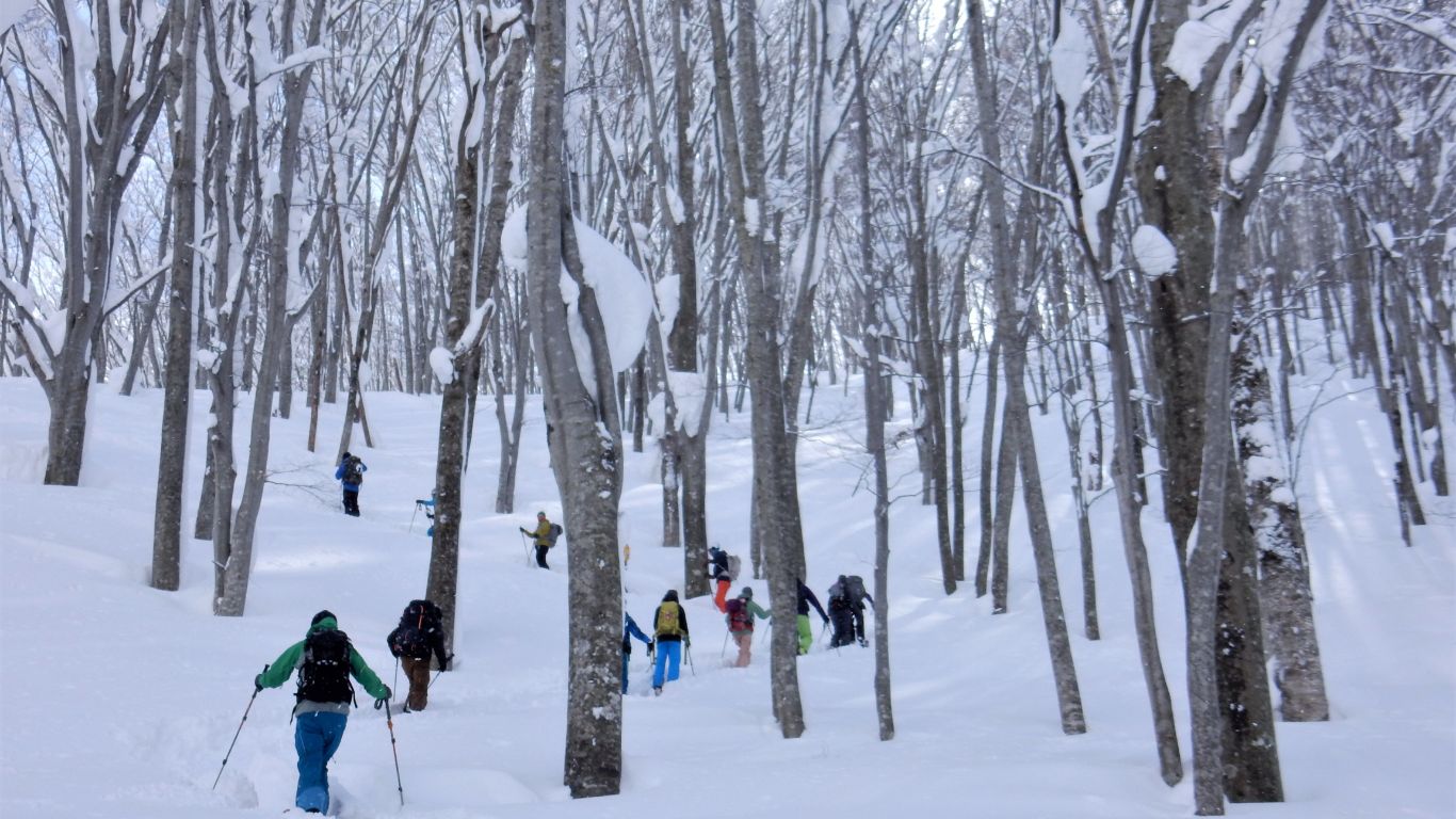 雪の森の中を歩く