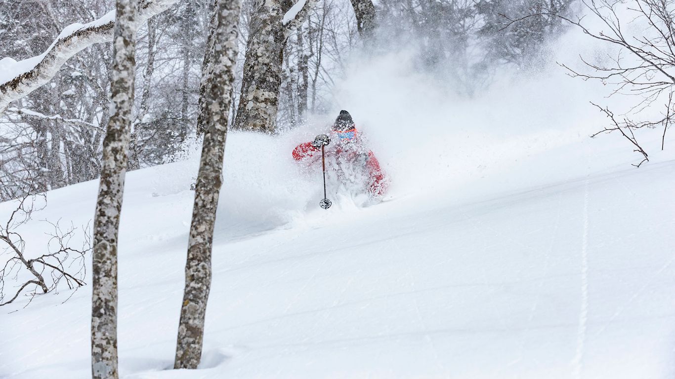 雪の森の中を滑る