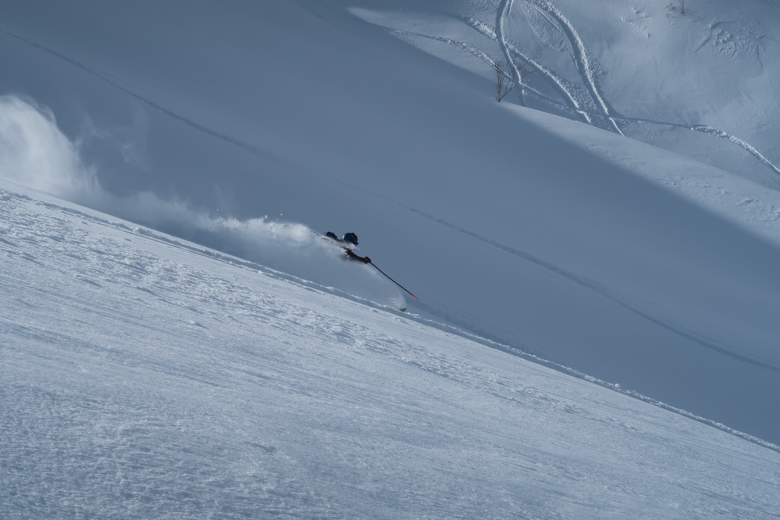 雪山を滑る