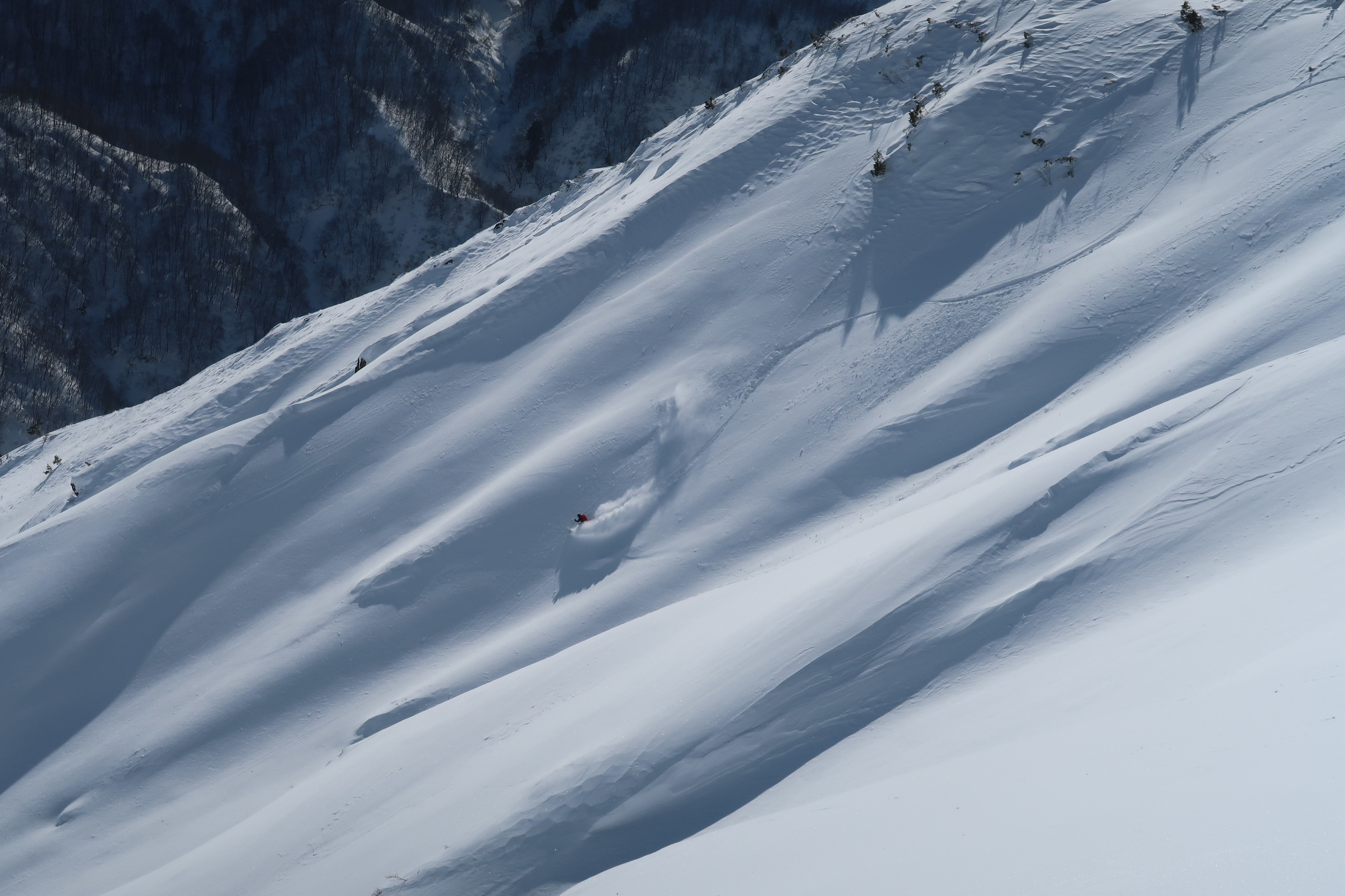 雪山を滑る