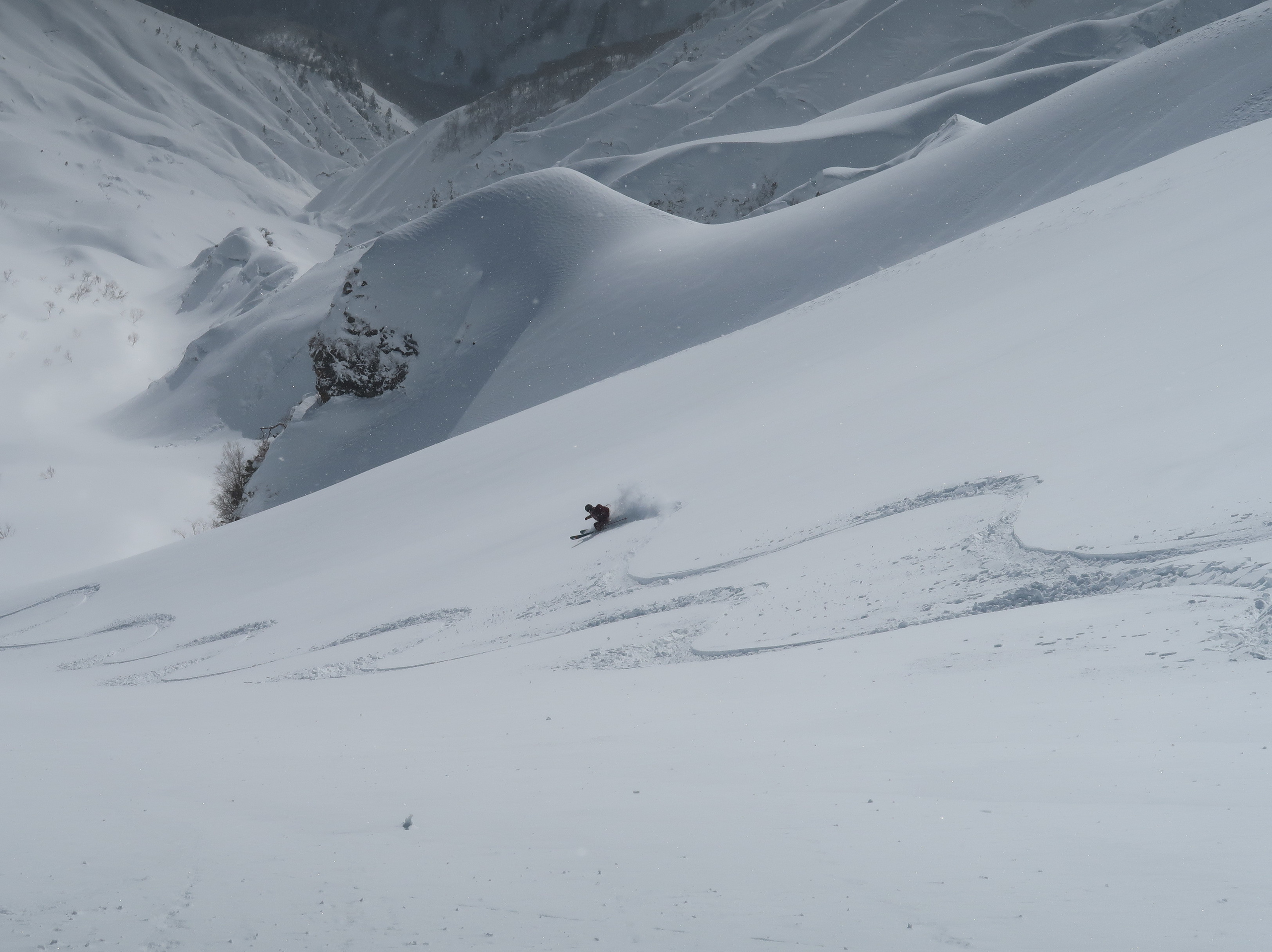 雪山を滑る
